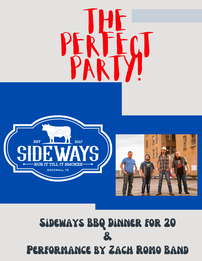 The Perfect Party 202//261